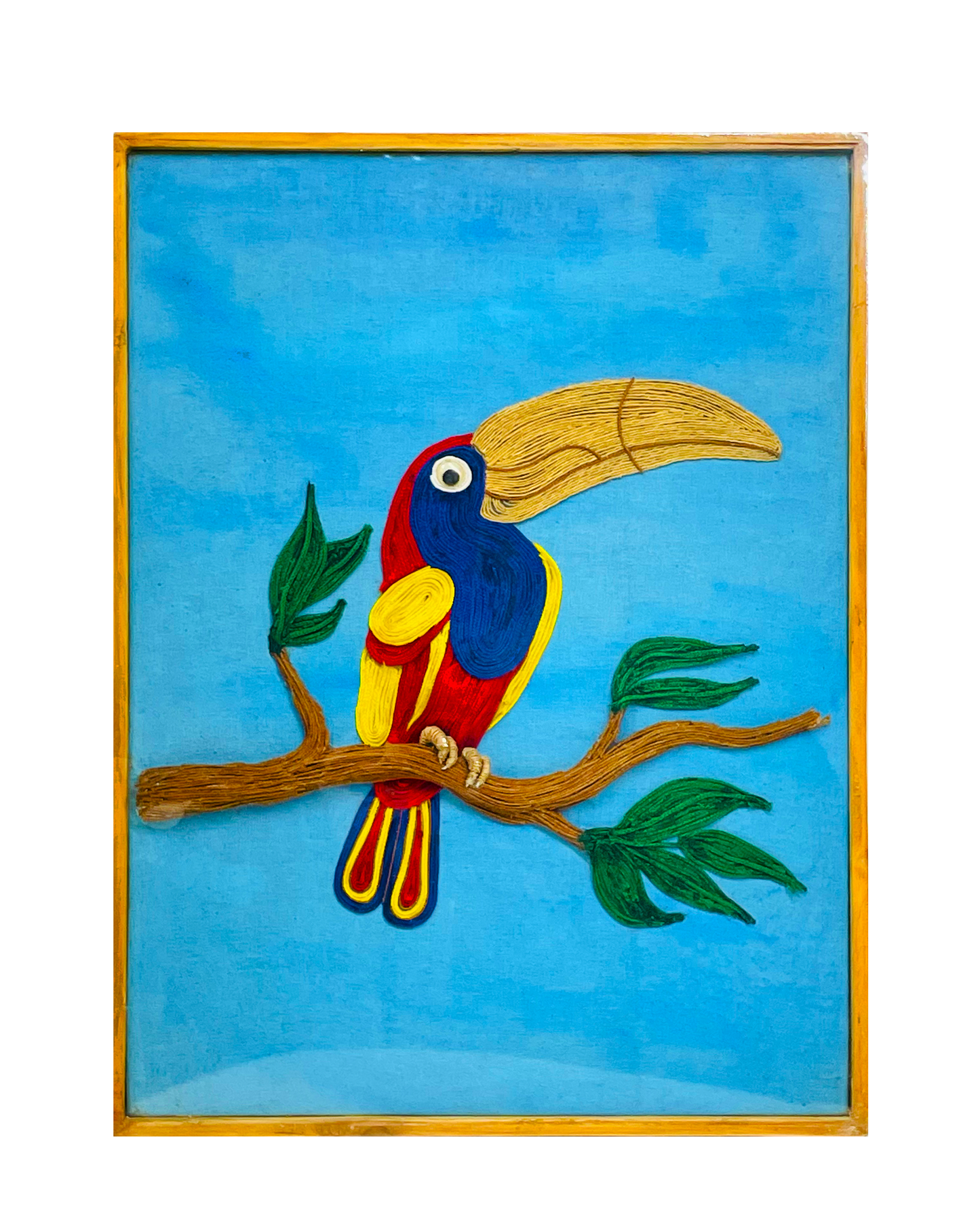 Keel Billed Toucan