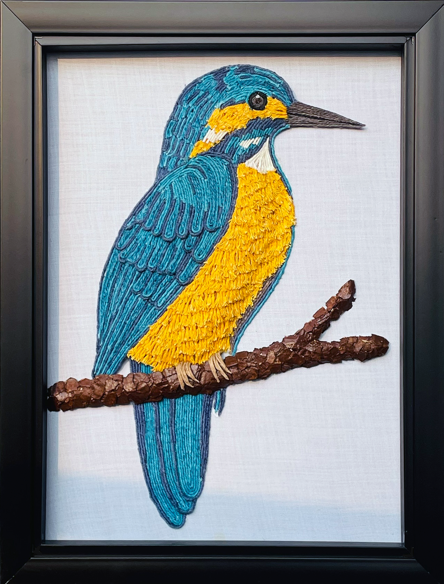 Blue and Gold Kingfisher